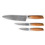 Sada nožov G21 Gourmet Damascus small box 3 ks, rukoväť zebrawood