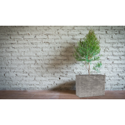 Kvetináč G21 Natur Box 80 x 56 x 34