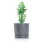 Květináč TUBO P BETON EFFECT 14,8 cm - barva: marengo