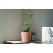 Květináč TUBO P BETON EFFECT 10,8 cm - barva: šedá