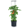 Kvetináč Prosperplast TOMATO GROWER na pestovanie paradajok 29,5 cm antracit
