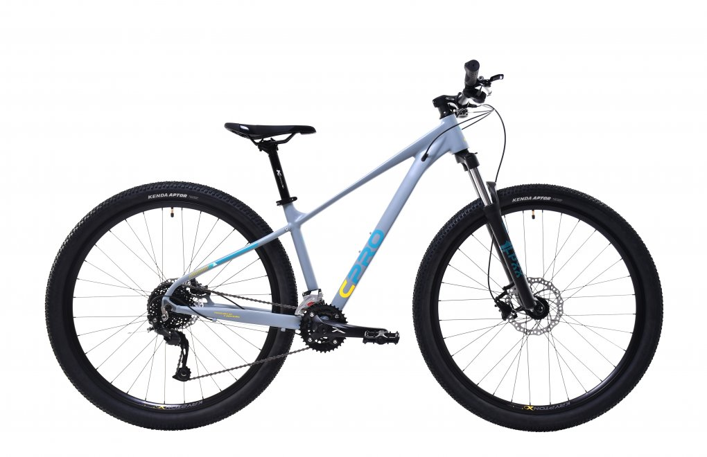 Horský bicykel Capriolo MTB AL-PHA 9,5 29"/19" šedé